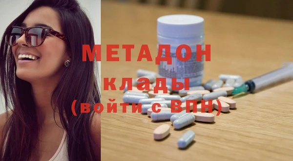 индика Алексин
