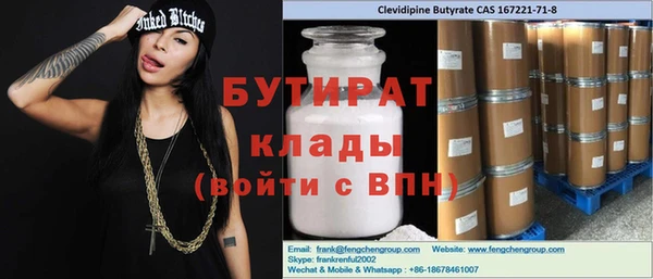 индика Алексин