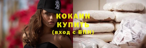 индика Алексин
