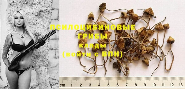 прущие крисы Алзамай