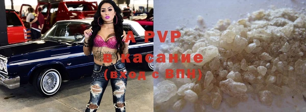 индика Алексин