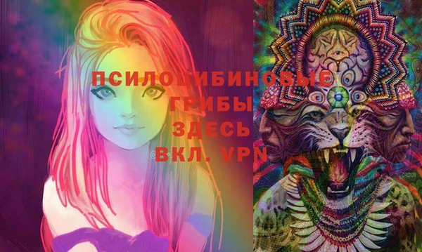 прущие крисы Алзамай