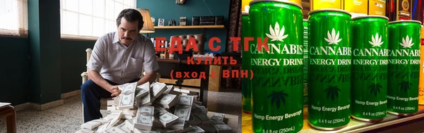 индика Алексин